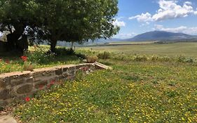 Casa De La Golondrina